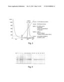 METHODS AND COMPOSITIONS FOR CELL-PROLIFERATION-RELATED DISORDERS diagram and image