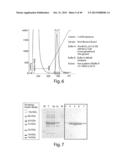 METHODS AND COMPOSITIONS FOR CELL-PROLIFERATION-RELATED DISORDERS diagram and image