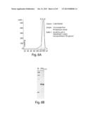 METHODS AND COMPOSITIONS FOR CELL-PROLIFERATION-RELATED DISORDERS diagram and image