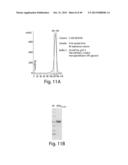 METHODS AND COMPOSITIONS FOR CELL-PROLIFERATION-RELATED DISORDERS diagram and image