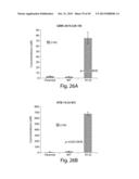 METHODS AND COMPOSITIONS FOR CELL-PROLIFERATION-RELATED DISORDERS diagram and image