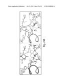 METHODS AND COMPOSITIONS FOR CELL-PROLIFERATION-RELATED DISORDERS diagram and image