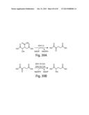 METHODS AND COMPOSITIONS FOR CELL-PROLIFERATION-RELATED DISORDERS diagram and image