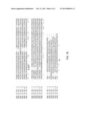 ENZYMES USEFUL FOR PERACID PRODUCTION diagram and image