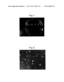 Novel Microorganism Having High Squalene-Producing Ability, and Method For     Producing Squalene by Means of Same diagram and image