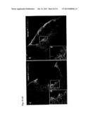 Synthetic culture platform and methods of using diagram and image