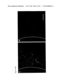 Synthetic culture platform and methods of using diagram and image