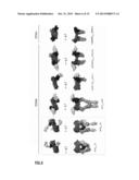 CRYSTAL STRUCTURE OF FLT3 LIGAND-RECEPTOR COMPLEX diagram and image