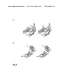 CRYSTAL STRUCTURE OF FLT3 LIGAND-RECEPTOR COMPLEX diagram and image