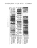 COMPOSITIONS AND METHODS FOR MODULATING THE SENSITIVITY OF CELL TO AHAS     INHIBITORS diagram and image