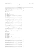 METHODS AND COMPOSITIONS FOR PROVIDING TOLERANCE TO MULTIPLE HERBICIDES diagram and image