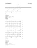 METHODS AND COMPOSITIONS FOR PROVIDING TOLERANCE TO MULTIPLE HERBICIDES diagram and image