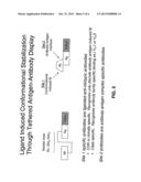 COMBINATORIAL LIBRARIES OF CONFORMATIONALLY CONSTRAINED POLYPEPTIDE     SEQUENCES diagram and image