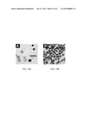 Methods For The Diagnosis Of Fetal Abnormalities diagram and image