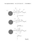 PHASE-PROTECTING REAGENT FLOW ORDERINGS FOR USE IN SEQUENCING-BY-SYNTHESIS diagram and image