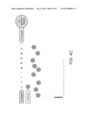 PHASE-PROTECTING REAGENT FLOW ORDERINGS FOR USE IN SEQUENCING-BY-SYNTHESIS diagram and image