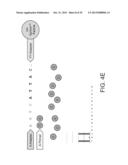 PHASE-PROTECTING REAGENT FLOW ORDERINGS FOR USE IN SEQUENCING-BY-SYNTHESIS diagram and image