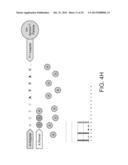 PHASE-PROTECTING REAGENT FLOW ORDERINGS FOR USE IN SEQUENCING-BY-SYNTHESIS diagram and image