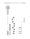 PHASE-PROTECTING REAGENT FLOW ORDERINGS FOR USE IN SEQUENCING-BY-SYNTHESIS diagram and image