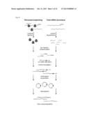 METHODS FOR DETECTING MODIFICATION RESISTANT NUCLEIC ACIDS diagram and image