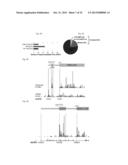 METHODS FOR DETECTING MODIFICATION RESISTANT NUCLEIC ACIDS diagram and image