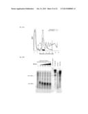 METHODS FOR DETECTING MODIFICATION RESISTANT NUCLEIC ACIDS diagram and image