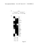 BIOMARKER SIGNATURES AND USES THEREOF diagram and image