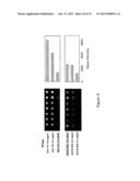 BIOMARKER SIGNATURES AND USES THEREOF diagram and image