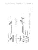 PRODUCTION OF NUCLEIC ACID diagram and image