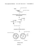 PRODUCTION OF NUCLEIC ACID diagram and image