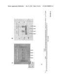 PRODUCTION OF NUCLEIC ACID diagram and image