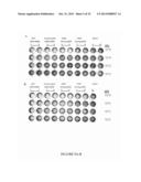 Fusion Proteins to Facilitate Selection of Cells Infected with Specific     Immunoglobulin Gene Recombinant Vaccinia Virus diagram and image