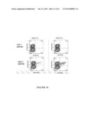 Fusion Proteins to Facilitate Selection of Cells Infected with Specific     Immunoglobulin Gene Recombinant Vaccinia Virus diagram and image