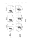 Fusion Proteins to Facilitate Selection of Cells Infected with Specific     Immunoglobulin Gene Recombinant Vaccinia Virus diagram and image