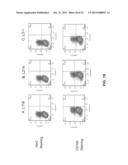 Fusion Proteins to Facilitate Selection of Cells Infected with Specific     Immunoglobulin Gene Recombinant Vaccinia Virus diagram and image