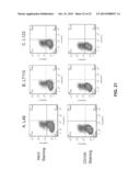 Fusion Proteins to Facilitate Selection of Cells Infected with Specific     Immunoglobulin Gene Recombinant Vaccinia Virus diagram and image