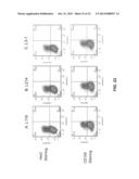 Fusion Proteins to Facilitate Selection of Cells Infected with Specific     Immunoglobulin Gene Recombinant Vaccinia Virus diagram and image