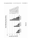 Fusion Proteins to Facilitate Selection of Cells Infected with Specific     Immunoglobulin Gene Recombinant Vaccinia Virus diagram and image