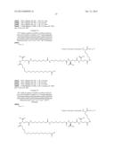 Novel Glucagon Analogues diagram and image