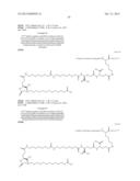 Novel Glucagon Analogues diagram and image