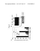 SCREENING METHOD FOR ANTIDIABETIC AGENT USING NEWLY IDENTIFIED INSULIN     SECRETION REGULATION FACTOR diagram and image