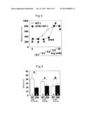 SCREENING METHOD FOR ANTIDIABETIC AGENT USING NEWLY IDENTIFIED INSULIN     SECRETION REGULATION FACTOR diagram and image