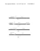 ANTICANCER FUSION PROTEIN diagram and image