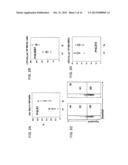 PARATHYROID HORMONE RECEPTOR ACTIVATION AND STEM AND PROGENITOR CELL     EXPANSION diagram and image