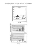 PARATHYROID HORMONE RECEPTOR ACTIVATION AND STEM AND PROGENITOR CELL     EXPANSION diagram and image