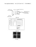 PARATHYROID HORMONE RECEPTOR ACTIVATION AND STEM AND PROGENITOR CELL     EXPANSION diagram and image