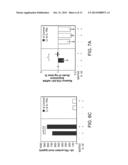 Compositions and Methods For The Treatment of Orthopedic Disease or Injury diagram and image