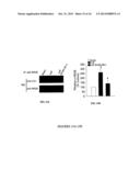 METHOD FOR AMELIORATING PAIN BY MODIFICATION OF NMDA RECEPTORS THROUGH     INHIBITION OF SRC diagram and image