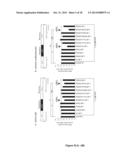 Inhibitors of Apoptosis and Uses Thereof diagram and image