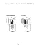 Inhibitors of Apoptosis and Uses Thereof diagram and image